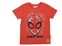 Wheat t-shirt Spider face paprika